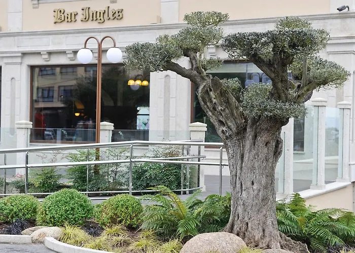 Os Olivos 3* Guísamo